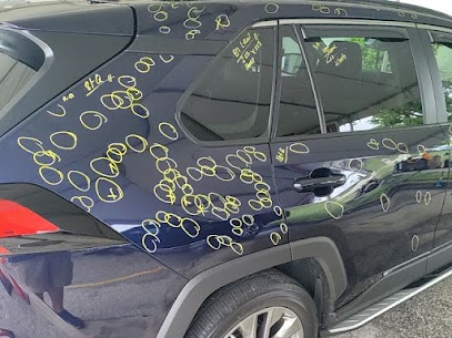 Port Orange storm dent repair image for local service page