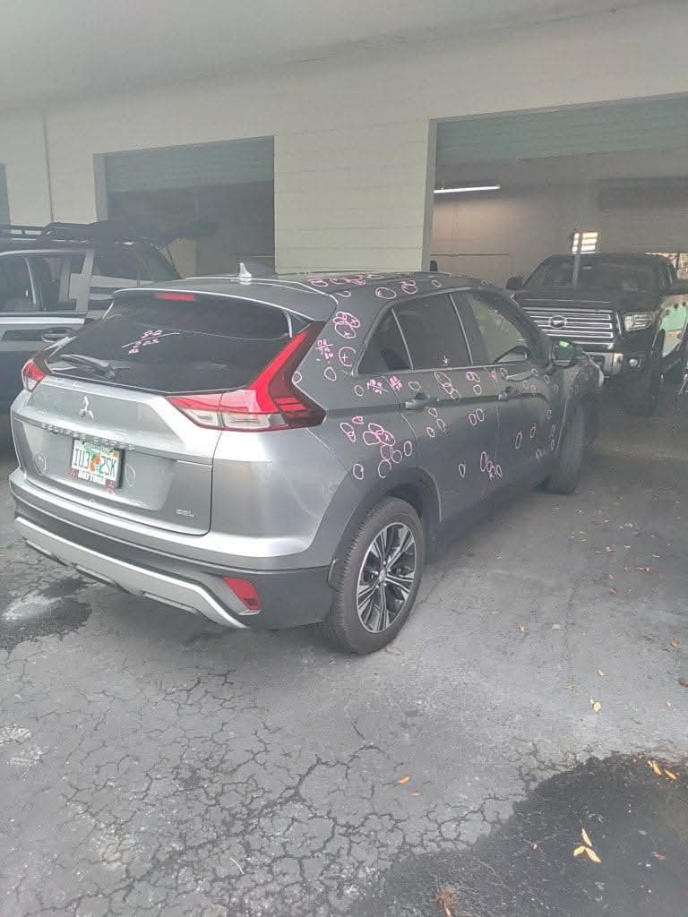 Catastrophic hail damage repair response for storm damaged vehicles